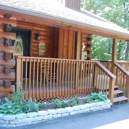 His Promises Cabin Pigeon Forge Bagian luar foto